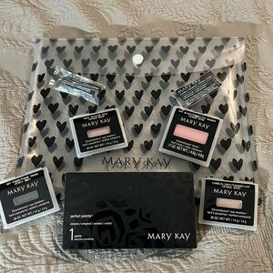 Mary Kay Perfect Palette W/ eyeshadow, blush, & brushes